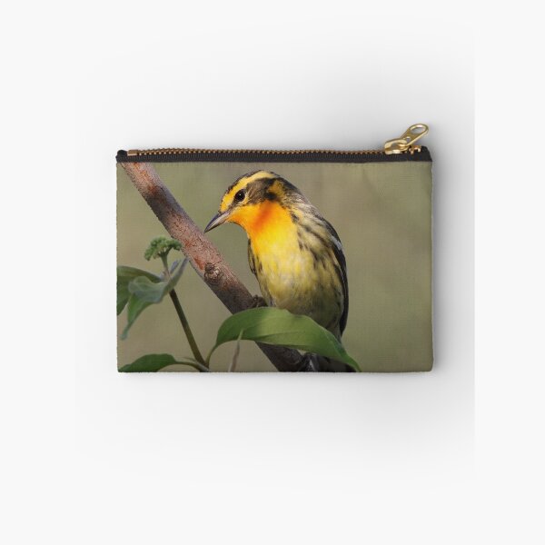 Item preview, Blackburnian Warbler  designed and sold by WorldDesign.