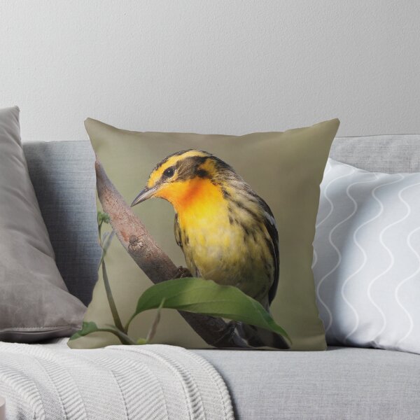 Item preview, Blackburnian Warbler  designed and sold by WorldDesign.