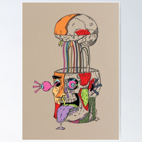 Cranial Nerves Exploded Poster