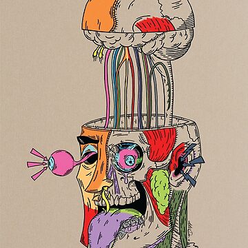 Artwork thumbnail, Cranial Nerves Exploded by Alex Dai