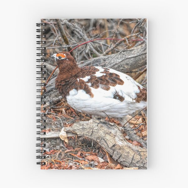 Item preview, Ptarmigan ~ Sneaking By designed and sold by akaurora.