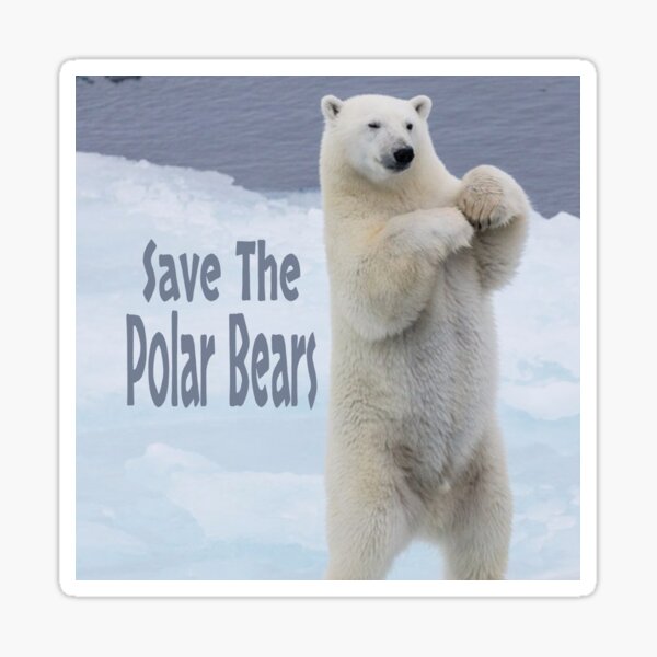 Polar Bear On Ice Stickers – KyariKreations