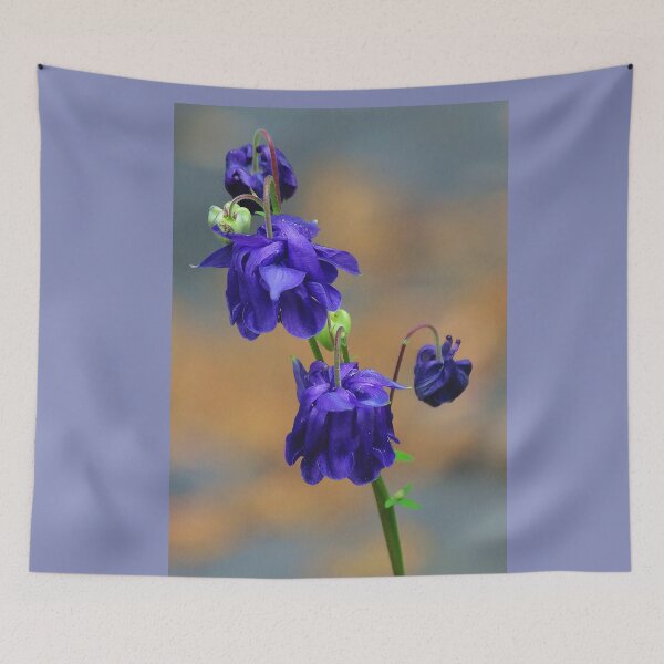 Item preview, Maine Purple Columbine designed and sold by T.J. Martin.