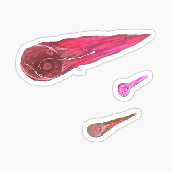Asteroid Art Sticker