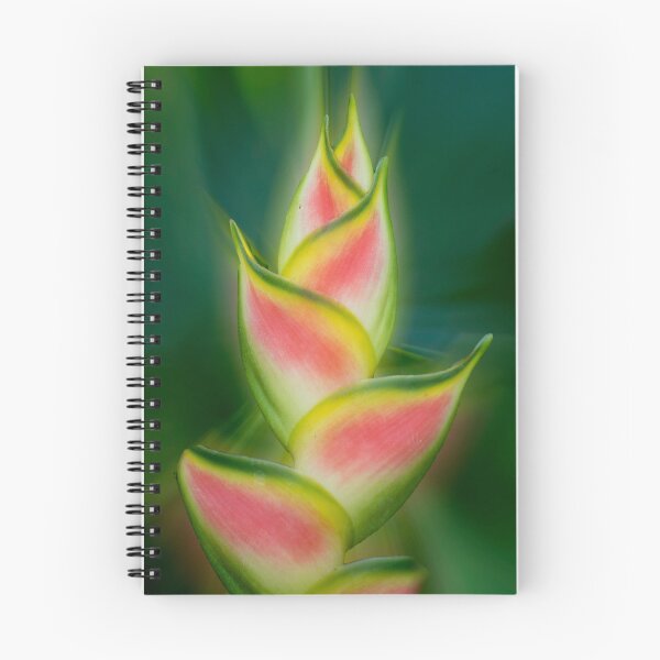 Item preview, Tropical exotic designed and sold by Jenny Dean.