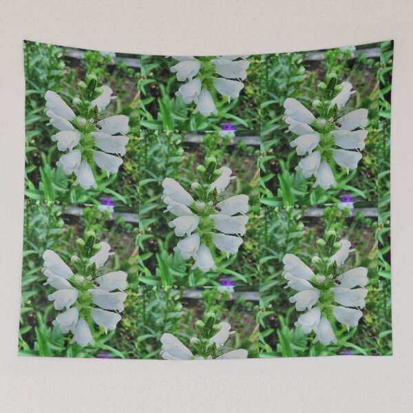 Item preview, Spider meets dragonfly beneath flower designed and sold by StarTreader.