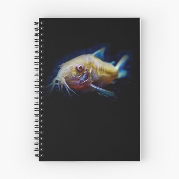 Item preview, Cory Catfish Color  designed and sold by Christopher Taylor.