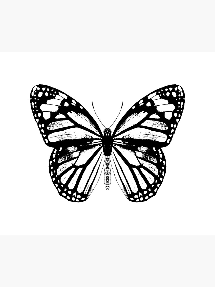 Disover Monarch Butterfly | Vintage Butterflies | Black and White | Shower Curtain