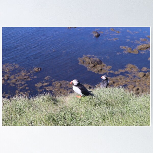 Item preview, Puffin Iceland designed and sold by andrew-caskie.