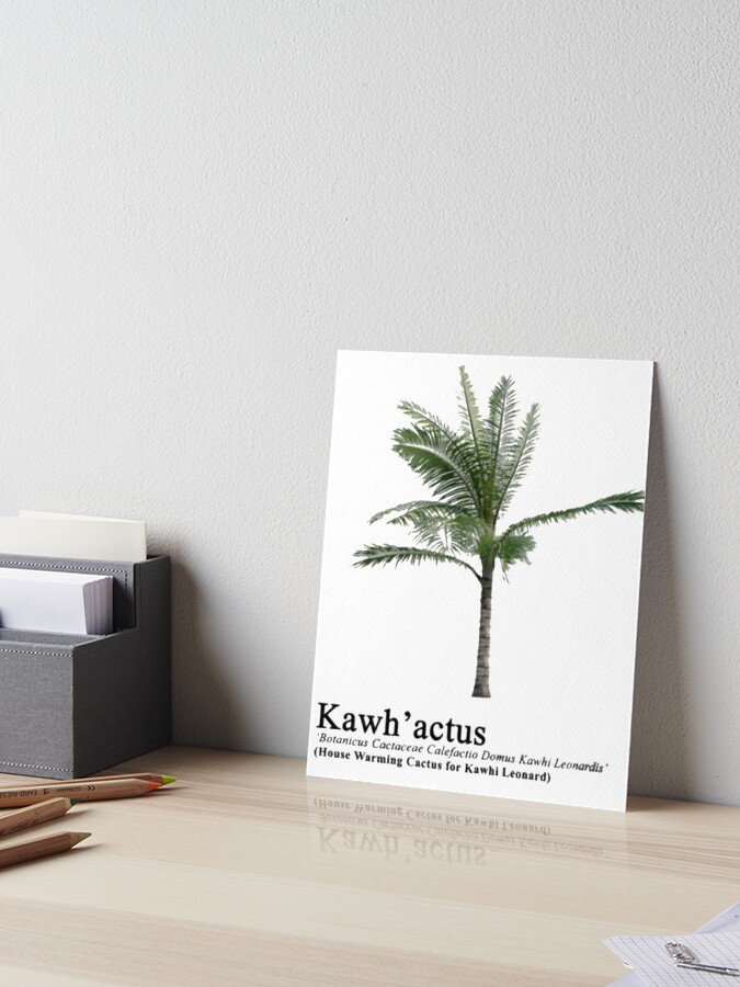 Kawhactus store