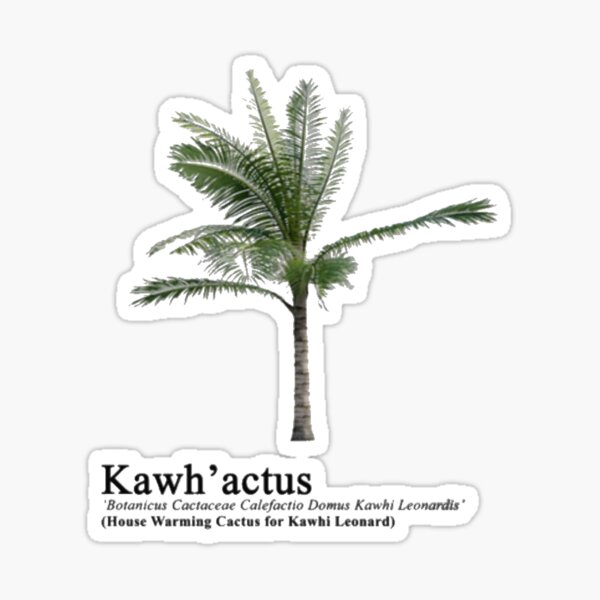 Kawhactus deals