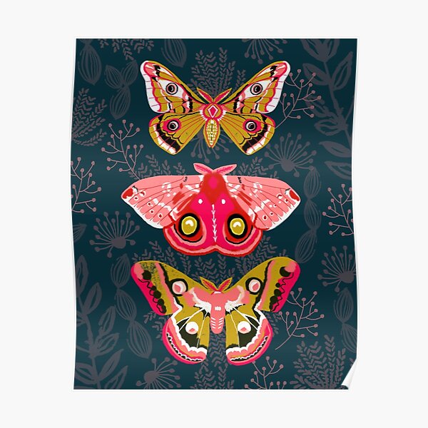 Lepidoptery No. 4 by Andrea Lauren Poster
