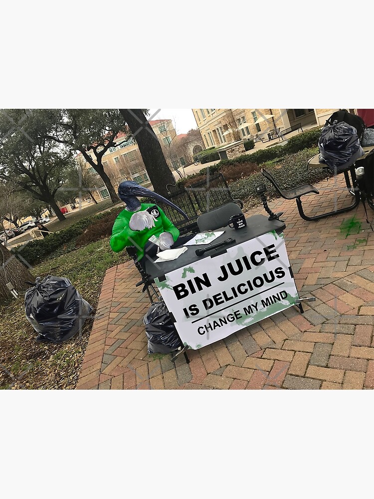 "Bin Chicken Meme" Poster for Sale by MLCreative Redbubble