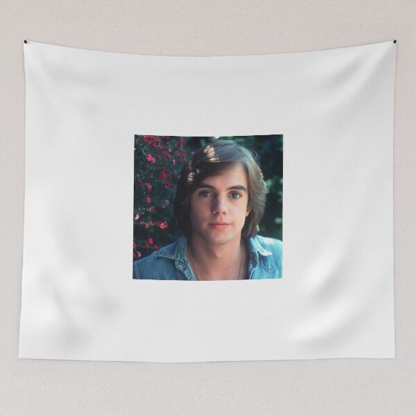 Item preview, Shaun Cassidy tour 2019 sir2 designed and sold by siricmarshall.