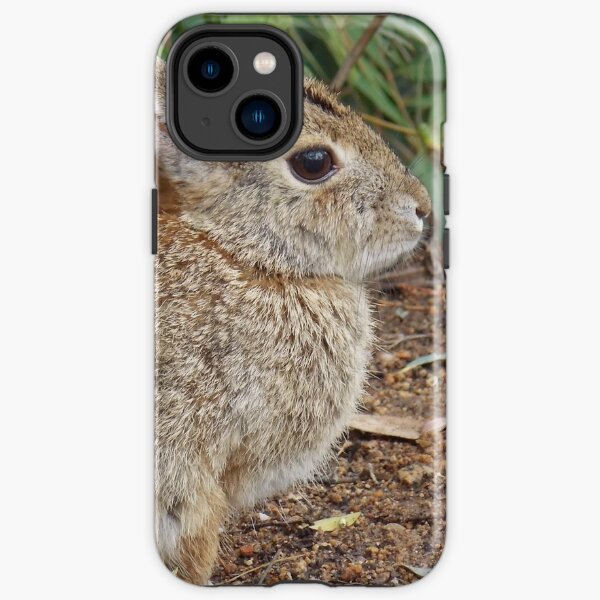 Desert Cottontail iPhone Tough Case
