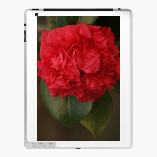 Red Gardenia iPad Skin