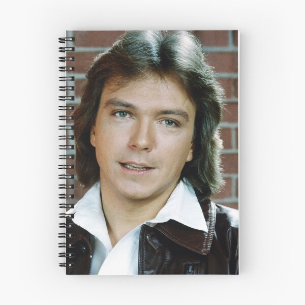 Item preview, Shaun Cassidy tour 2019 sir5 designed and sold by siricmarshall.