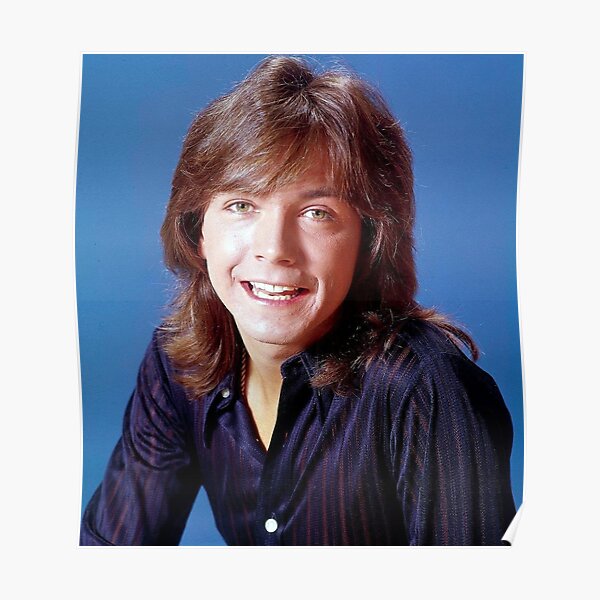 Shaun Cassidy Gifts & Merchandise Redbubble