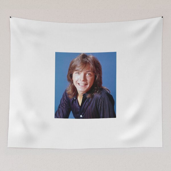 Item preview, Shaun Cassidy tour 2019 sir6 designed and sold by siricmarshall.