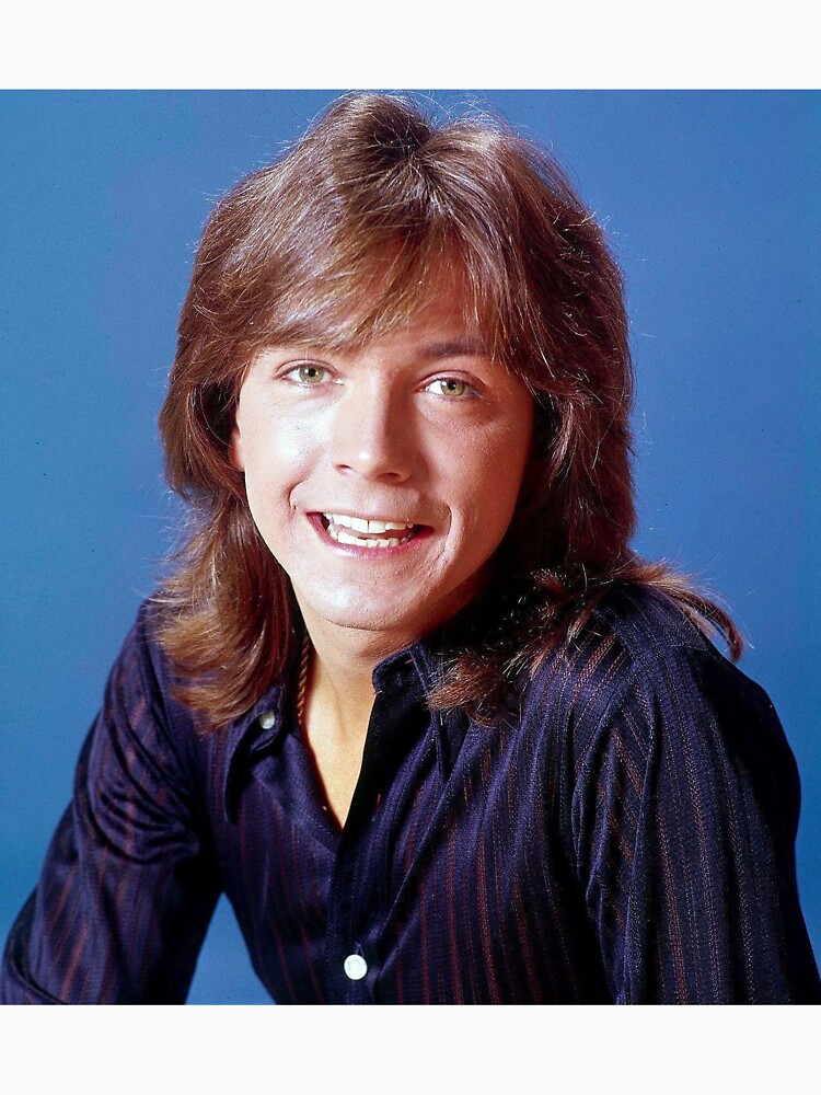 "Shaun Cassidy tour 2019 sir6" Tshirt by siricmarshall Redbubble