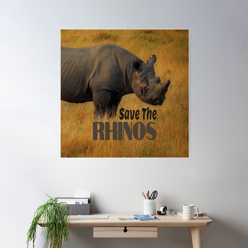 Save The Rhinos 