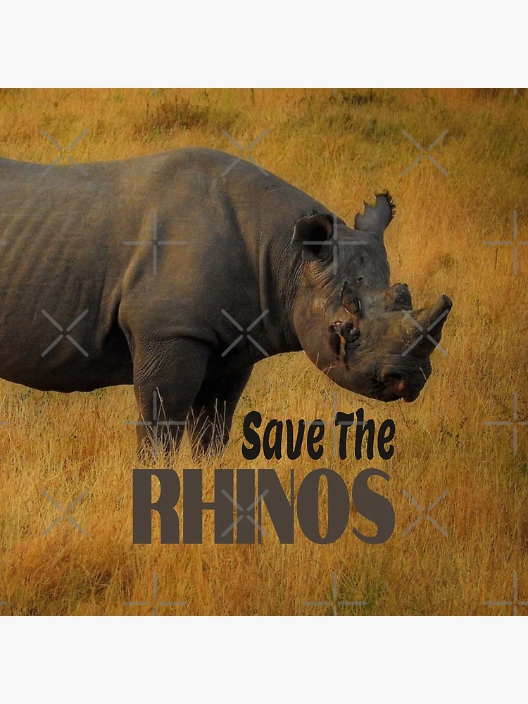 Save The Rhinos 