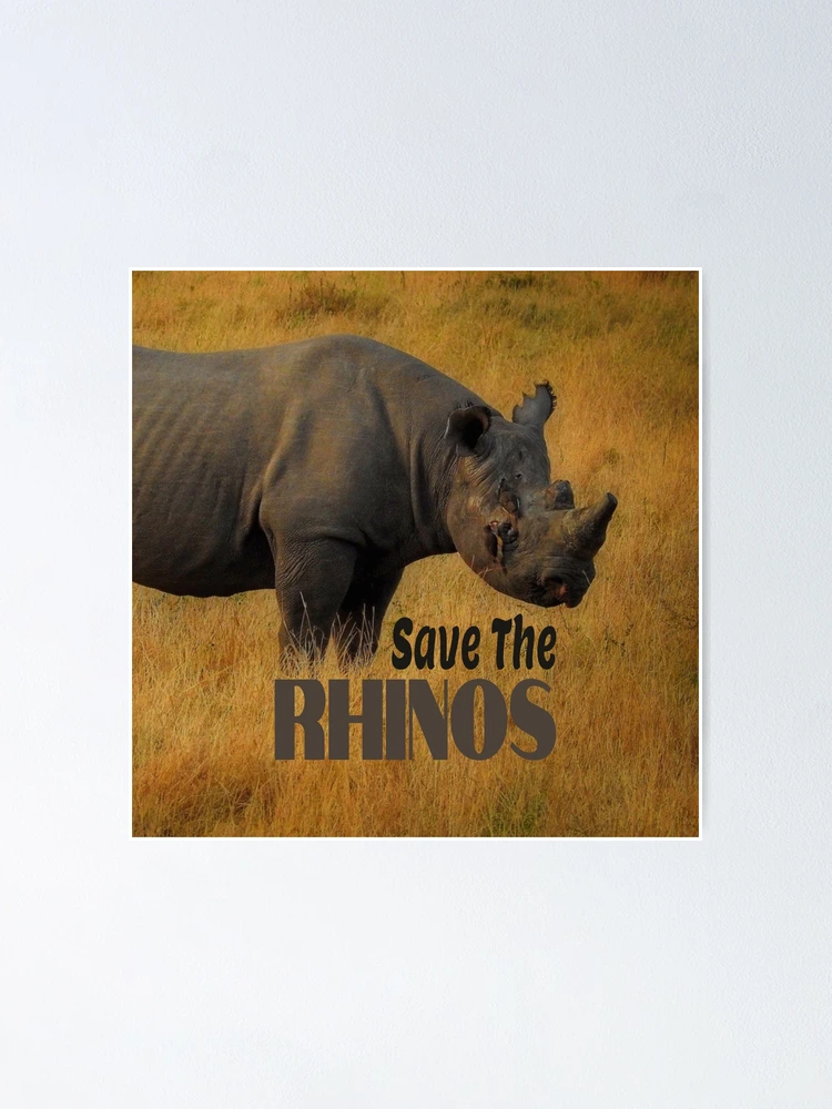 Save The Rhinos | Poster