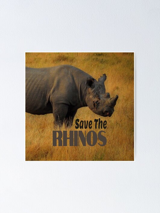 fposter,x_small,wall_texture,