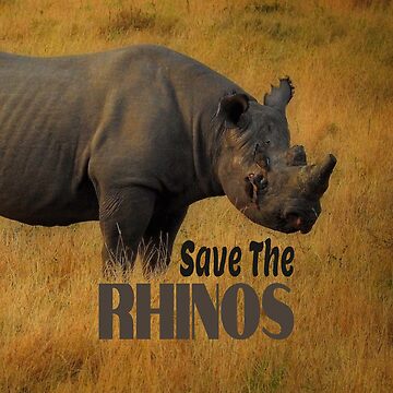 Save The Rhinos | Poster