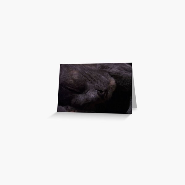 Sweet Feline Dreams... Greeting Card