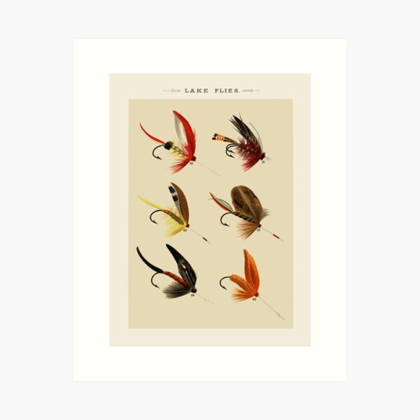 Fly Fishing Reel Art Prints for Sale