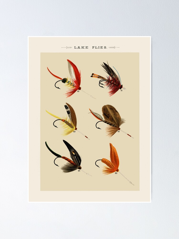 Fly Fishing Poster | Poster