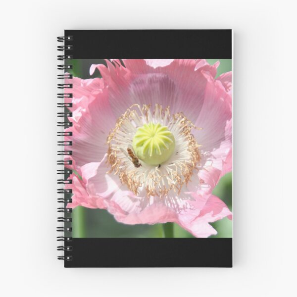 Item preview, Poppy inside designed and sold by Calidris Fotografie Steffi & Ben Köppler.