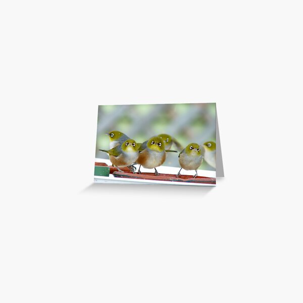 Excuse Me Waiter... But...Where Is The Main Course? - Silver-Eyes - NZ Greeting Card