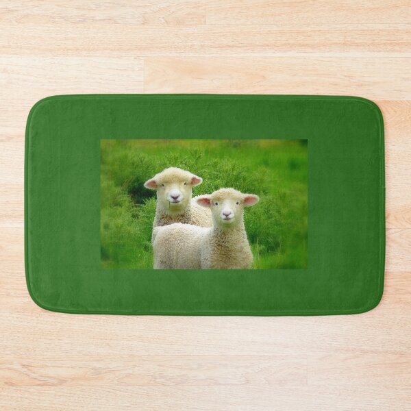 Item preview, The Red Bubble Definition of Cute! - Lambs - NZ designed and sold by AndreaEL.