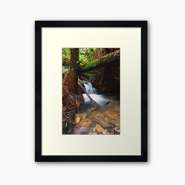 Rainforest Creek Framed Art Print
