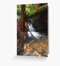 Rainforest Creek Greeting Card