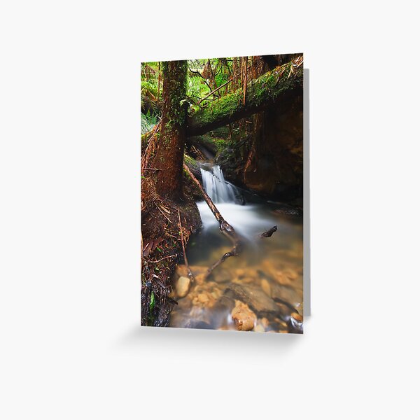 Item preview, Rainforest Creek designed and sold by Paul Piko.