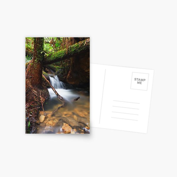 Item preview, Rainforest Creek designed and sold by Paul Piko.