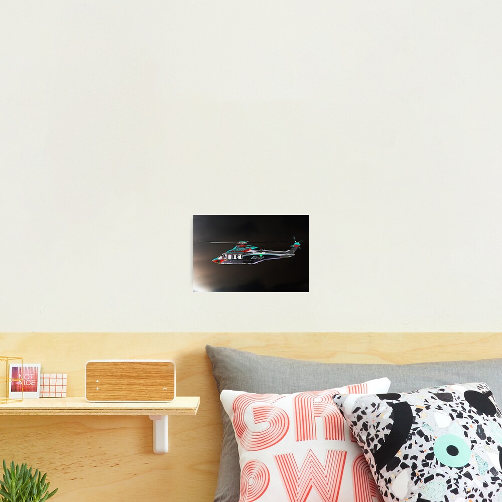 Flight 2 Photographic Print