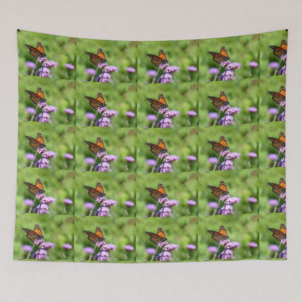Item preview, Autumn Beauty! - Monarch Butterfly - Otago - NZ designed and sold by AndreaEL.