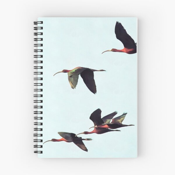 Item preview, A Wedge of Ibises In Flight designed and sold by taiche.