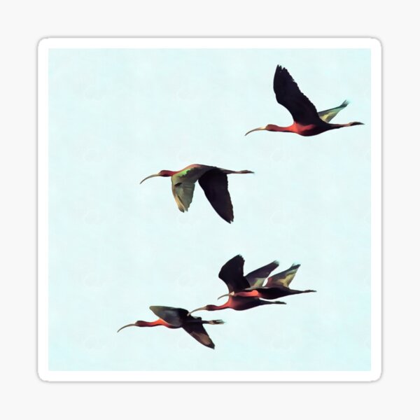 Item preview, A Wedge of Ibises In Flight designed and sold by taiche.