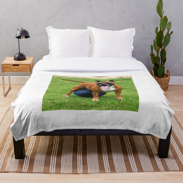 Item preview, Perro de futbol designed and sold by Casey Herman.