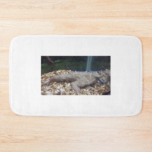 Item preview, Bat fish designed and sold by Jarred Chaisson.