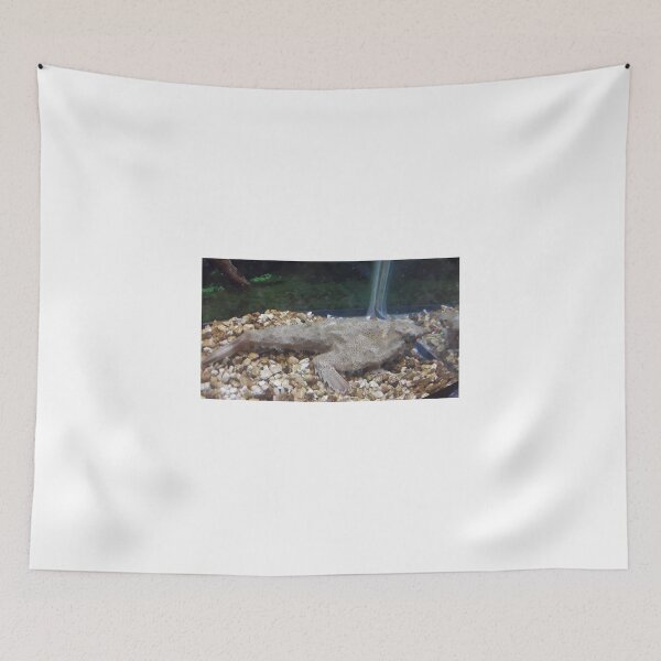 Item preview, Bat fish designed and sold by Jarred Chaisson.