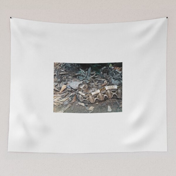 Item preview.