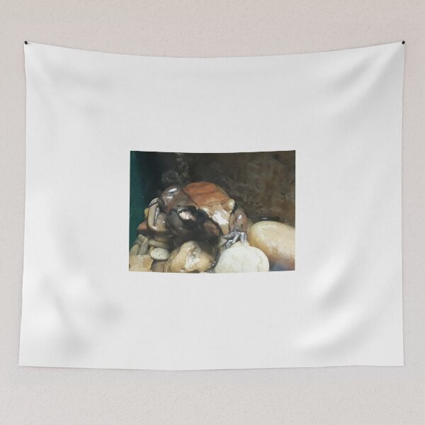 Item preview, Bull frog designed and sold by Jarred Chaisson.