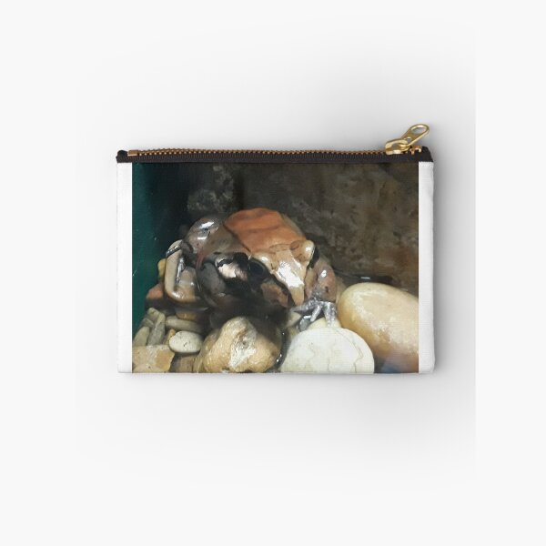 Item preview, Bull frog designed and sold by Jarred Chaisson.
