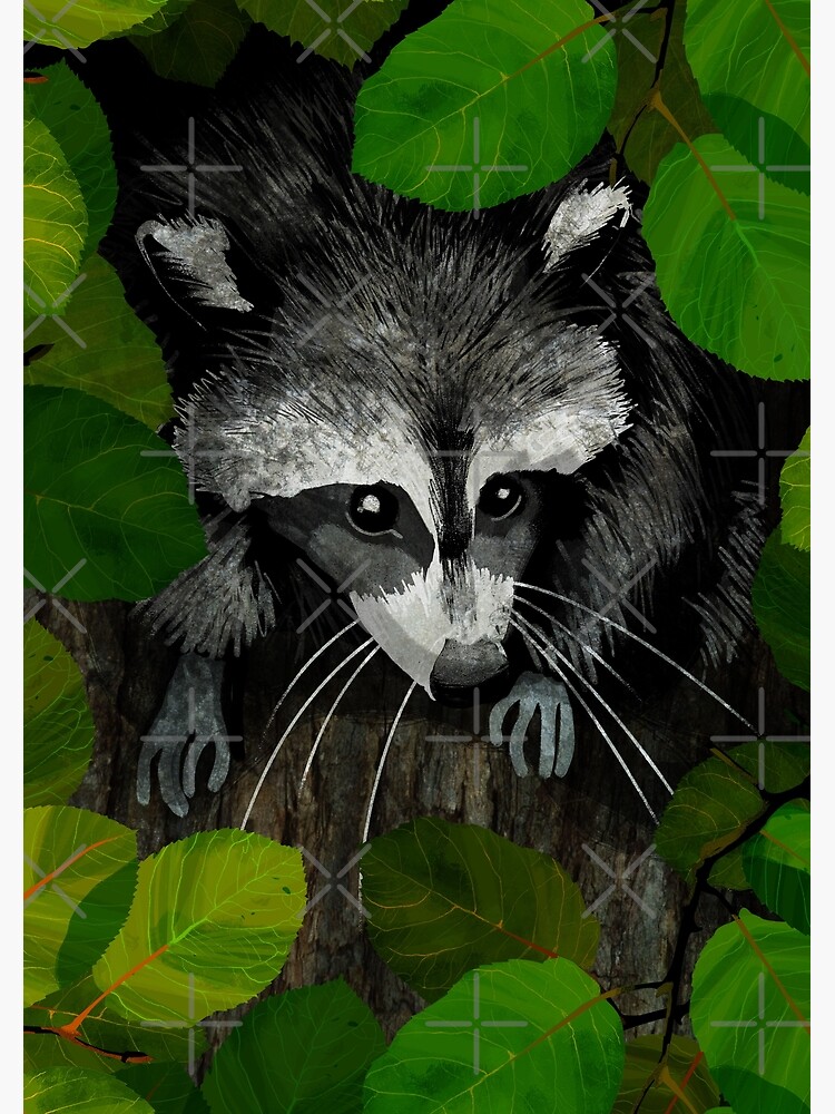 Raccoon by katherineblower